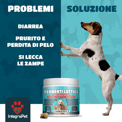 Probiotics Dog Itching and Breath Dog - Probiotics and Prebiotics Digestive Natural Snacks, 120 Chewable Chicken Flavour, Dog Products for Intestinal Wellness and Skin