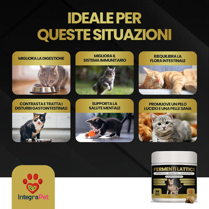 Probiotics for Cats with Lactic Ferments Cats - Prebiotic Digestive Probiotics, 90 Natural Snacks Chicken Flavour for Bowel Regularity and Defense