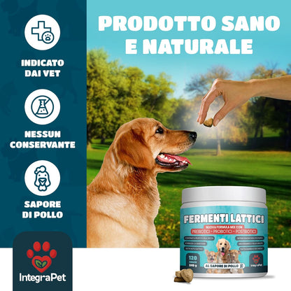 Probiotics Dog Itching and Breath Dog - Probiotics and Prebiotics Digestive Natural Snacks, 120 Chewable Chicken Flavour, Dog Products for Intestinal Wellness and Skin