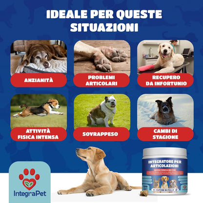 Joints Supplement for Dogs - Supplements for Dogs with Collagen and Magnesium, Glucosamine and Hyaluronic Acid, 120 Chewable Snacks for Mobility and Bones