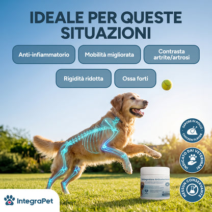 Integratore per Articolazioni per Cani
