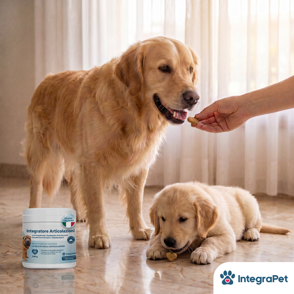 Integratore per Articolazioni per Cani