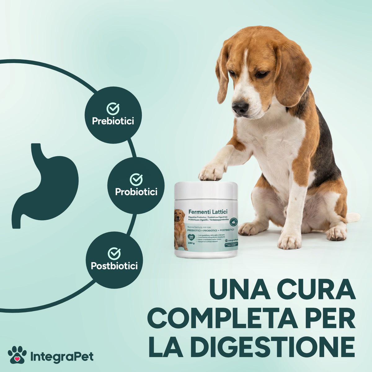 Probiotici Prurito e Alito Cane