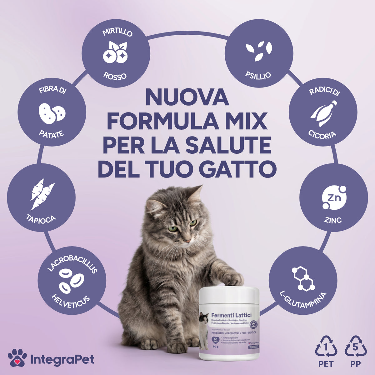 Probiotici per Gatti con Fermenti Lattici per Gatti 