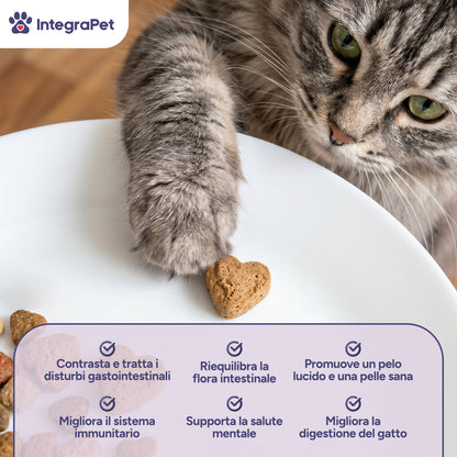 Probiotici per Gatti con Fermenti Lattici per Gatti 