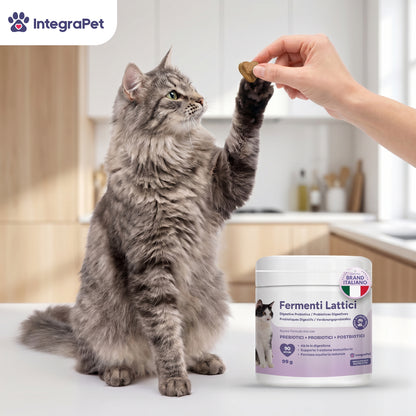 Probiotici per Gatti con Fermenti Lattici per Gatti 